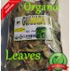 Hojas de Guanabana, hojas de Annona ::  Tea Grade Graviola Soursop, Leaves Annona muricata Leaf